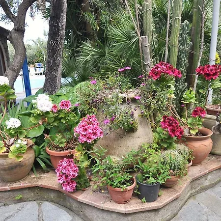 Eva Anacapri (Isola di Capri)
