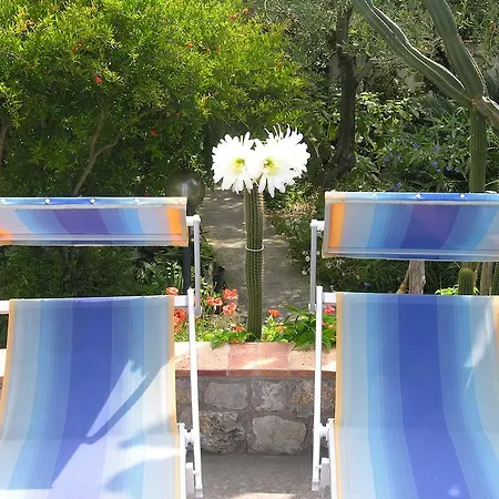 Eva Hotel Anacapri (Isola di Capri)